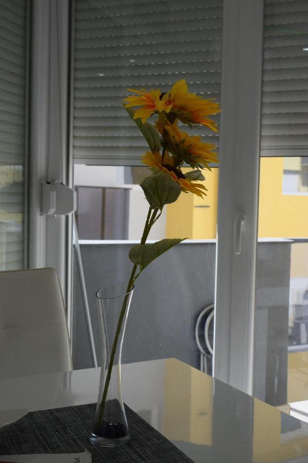 Apartmani K&V Veliko Gradište Eksteriør bilde